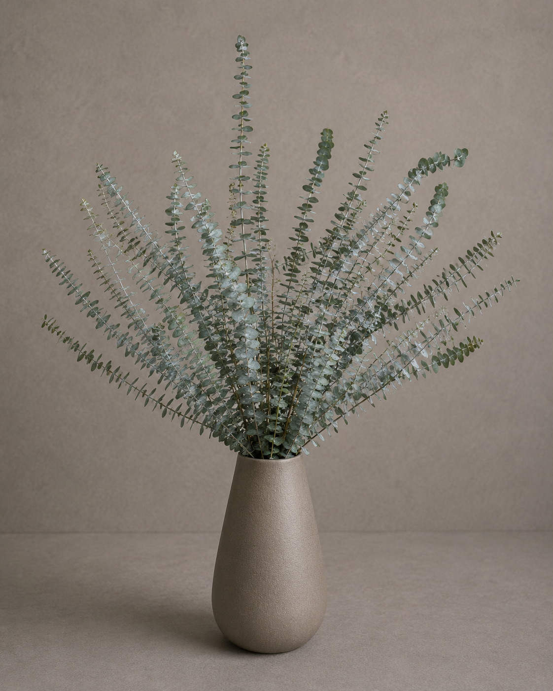 Preserved Eucalyptus Baby Blue – Foliage Object 8
