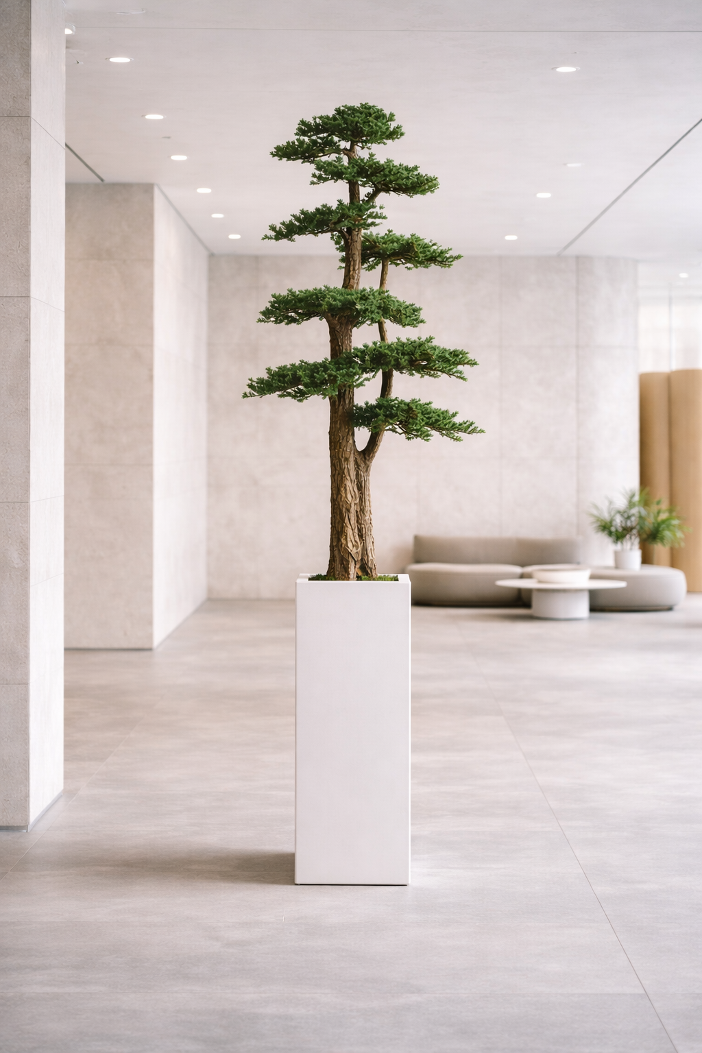 Preserved Juniperus Spatial Statement – Jumbo