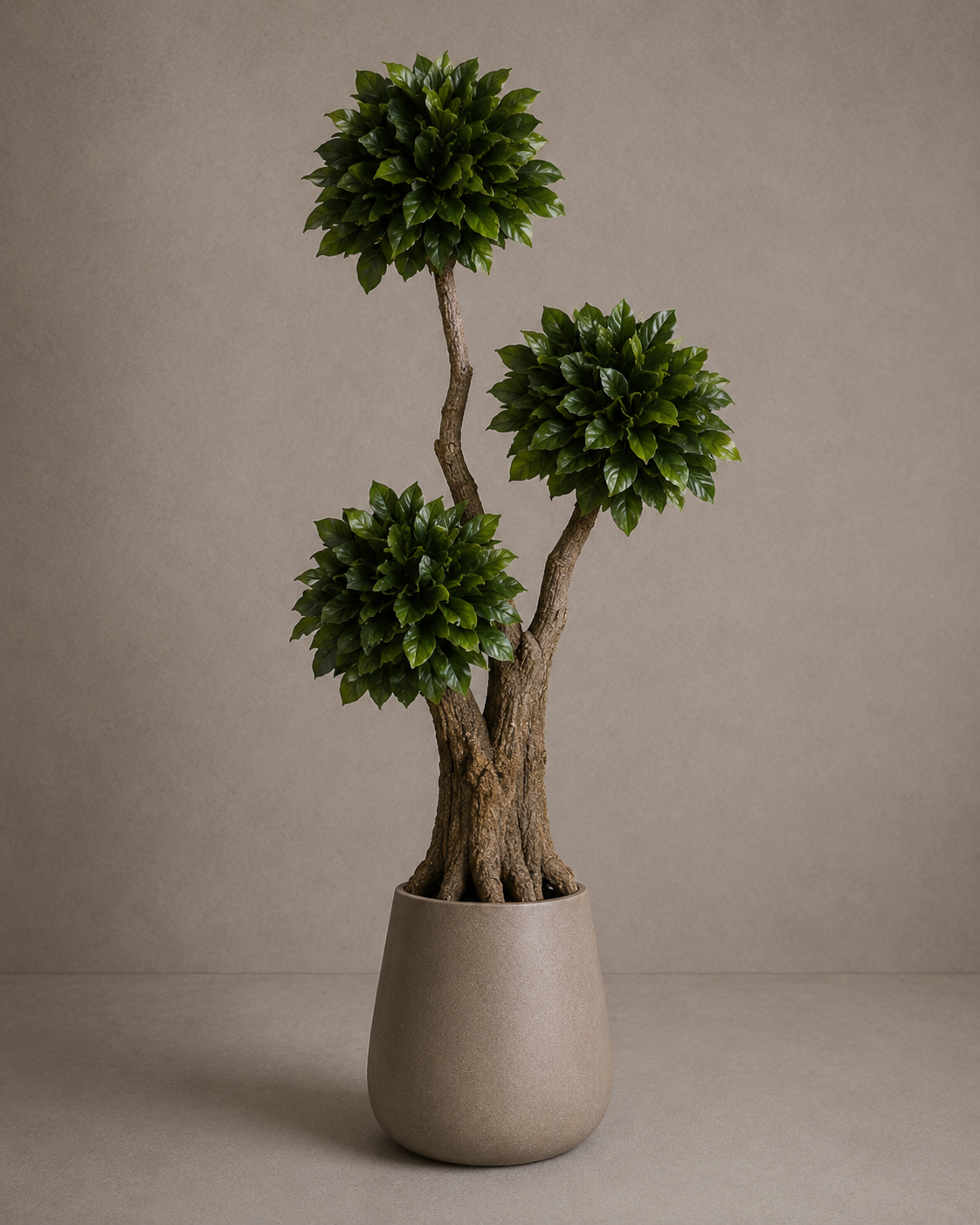 Preserved Salal Jumbo - Spatial Statement 04 – Jumbo