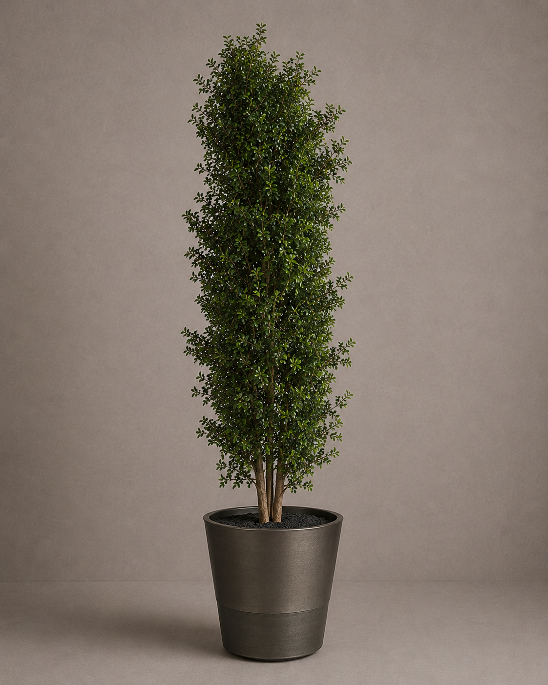 Preserved Tenuifolium Tree - Spatial Statement 05