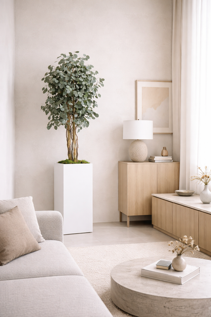 Preserved Slim Populus Tree