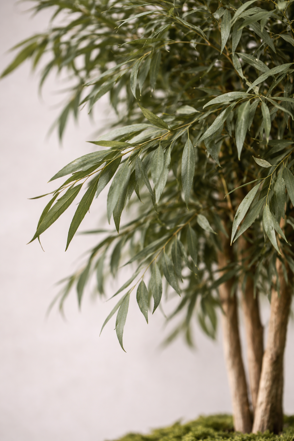 Preserved Nicoly Tree Vertical Object - Slim