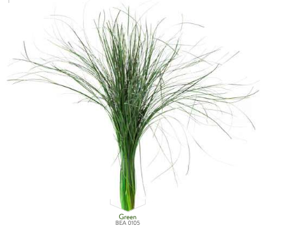 Preserved Bear Grass - Organic & Long-lasting