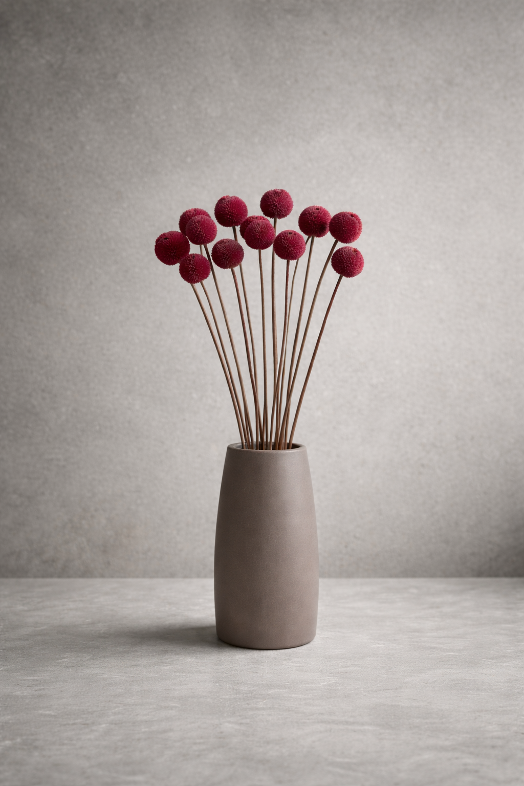 Preserved Craspedia Surface Object 05 – Tall