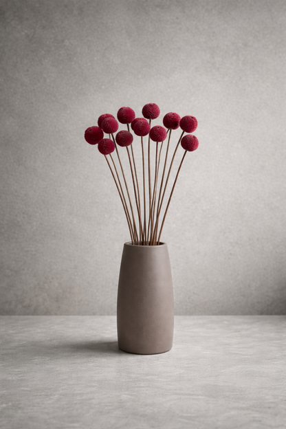 Preserved Craspedia Surface Object 05 – Tall