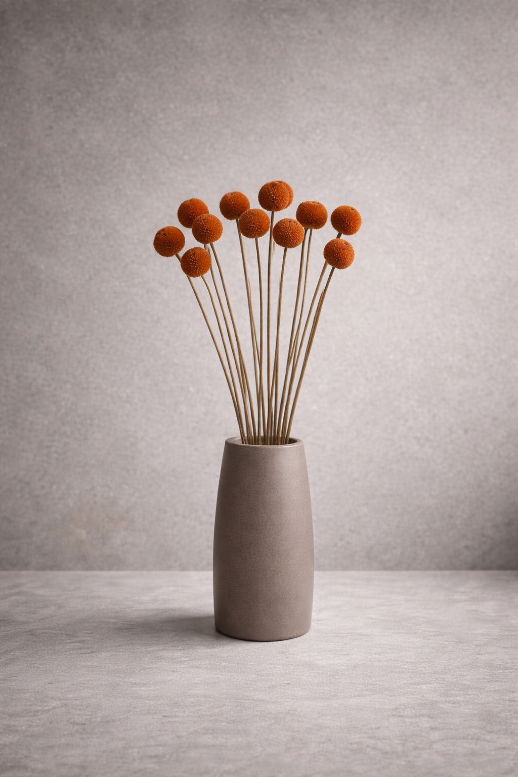 Preserved Craspedia Surface Object 05 – Tall