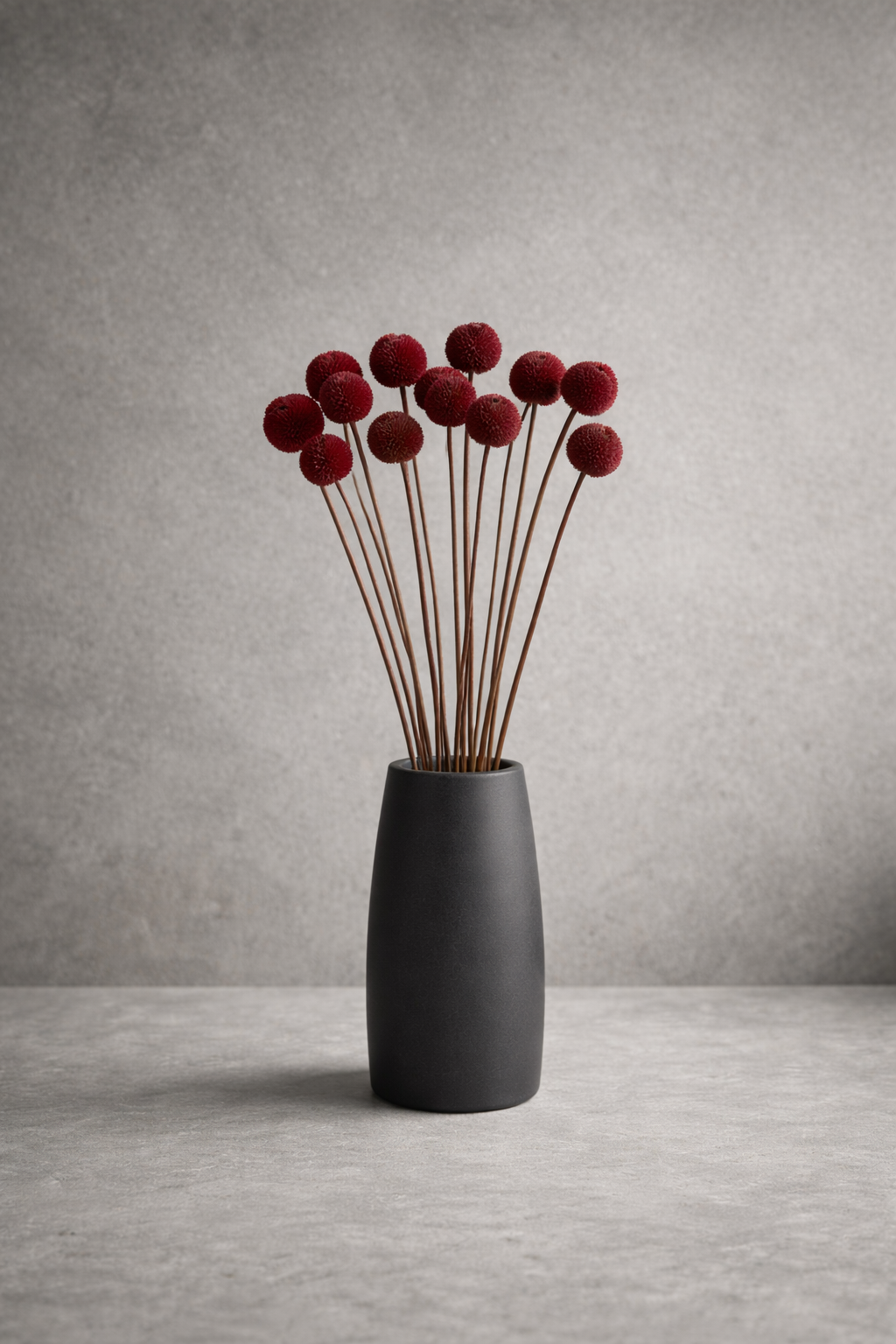 Preserved Craspedia Surface Object 05 – Tall