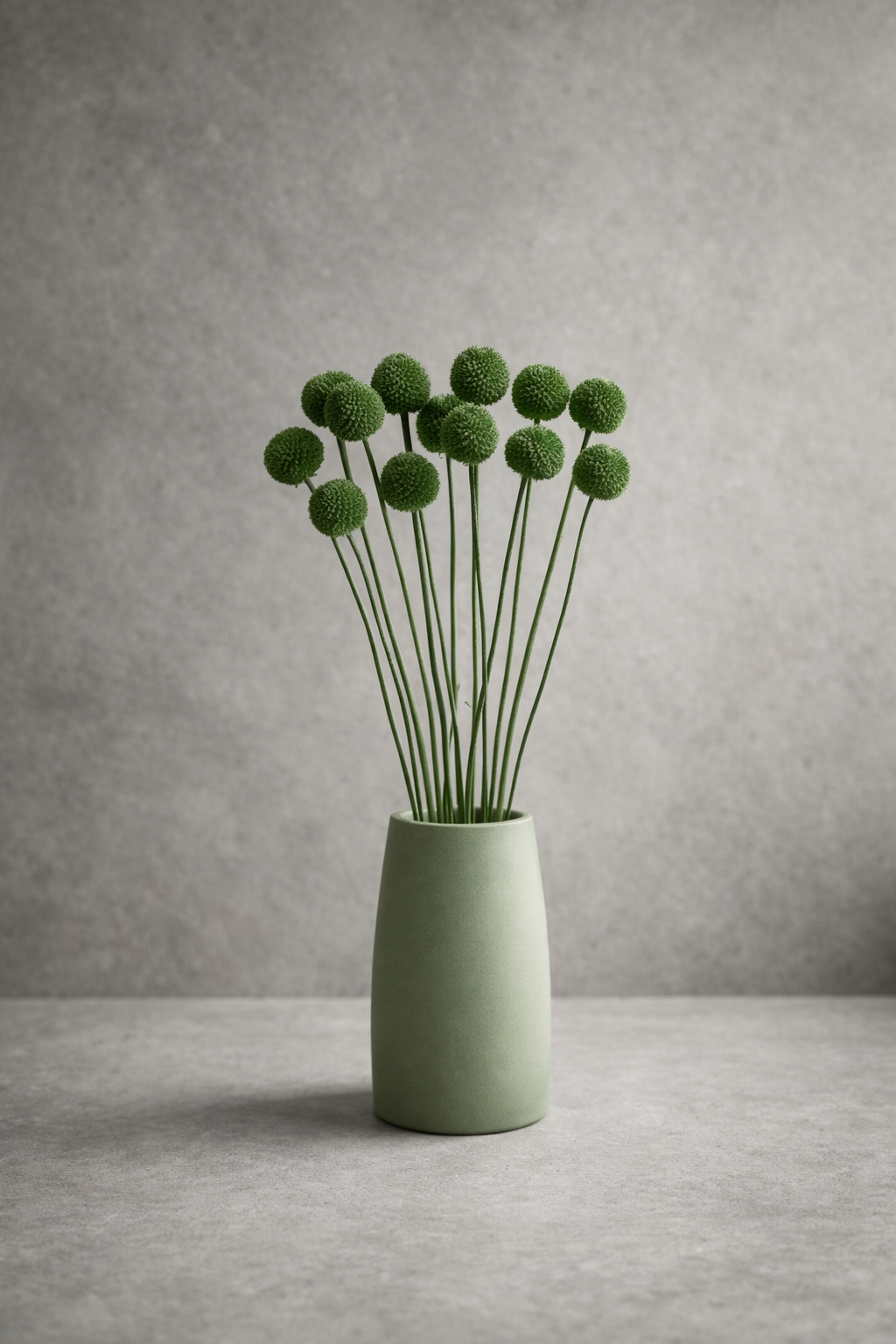 Preserved Craspedia Surface Object 05 – Tall