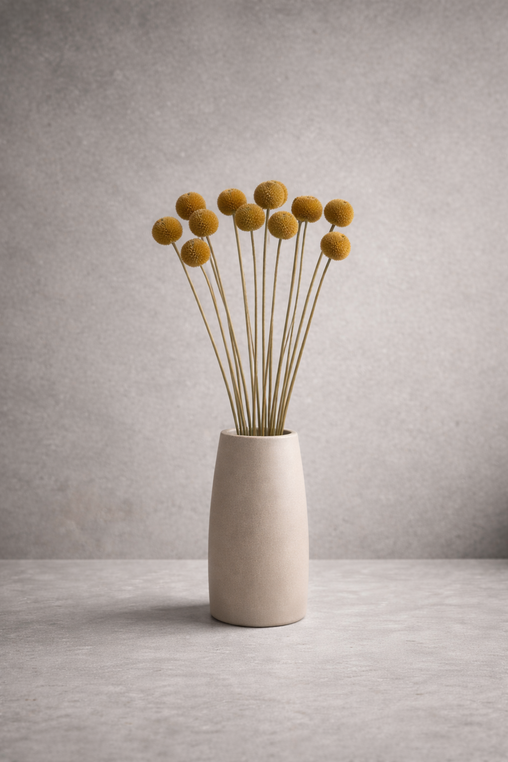 Preserved Craspedia Surface Object 05 – Tall