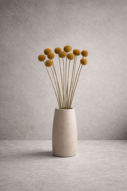 Preserved Craspedia Surface Object 05 – Tall