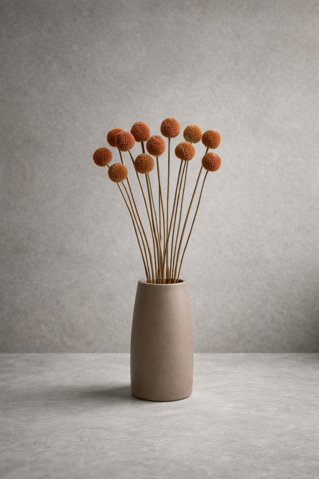 Preserved Craspedia Surface Object 05 – Tall