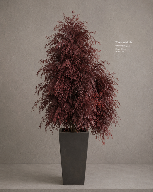 Preserved Wide Nicoly Tree Burgundy - Vertical Object 06