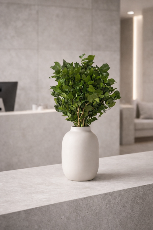 Preserved Hedera Arborea – Foliage Object 01 – Medium