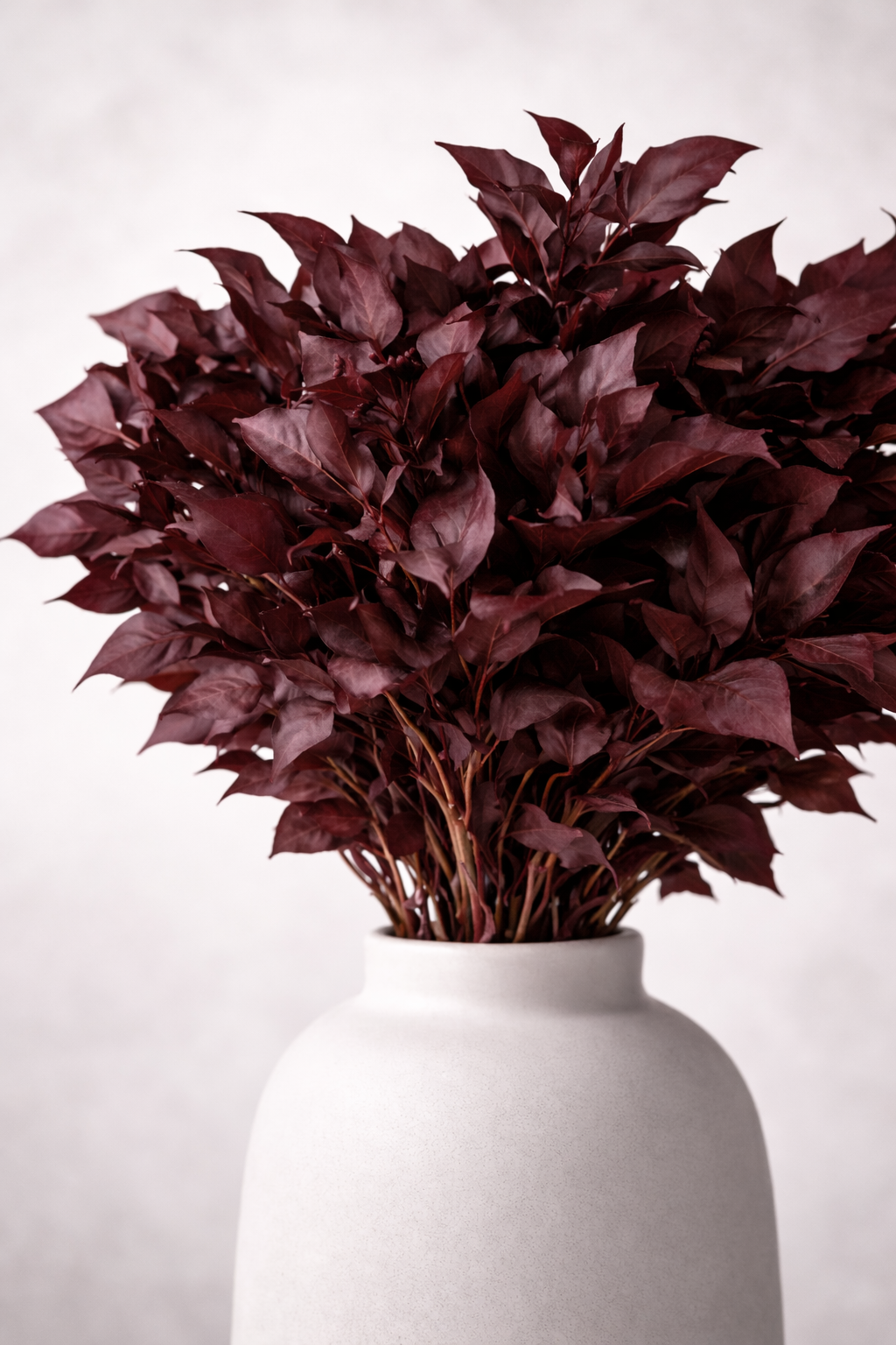 Preserved Hedera Arborea – Foliage Object 02 – Medium