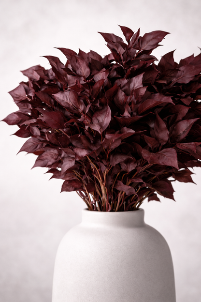 Preserved Hedera Arborea – Foliage Object 02 – Medium