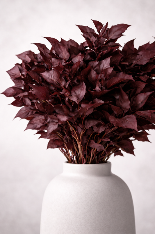 Preserved Hedera Arborea – Foliage Object 02 – Medium