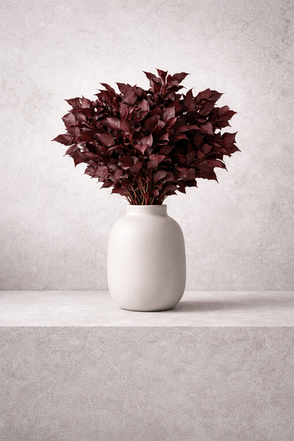 Preserved Hedera Arborea – Foliage Object 02 – Medium