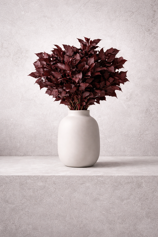 Preserved Hedera Arborea – Foliage Object 02 – Medium