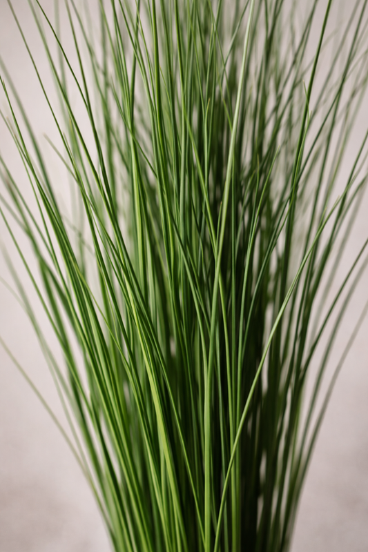 Preserved Steel Grass – Foliage Object 04