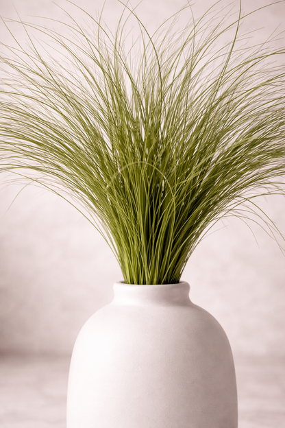 Preserved Bear Grass – Foliage Object 05