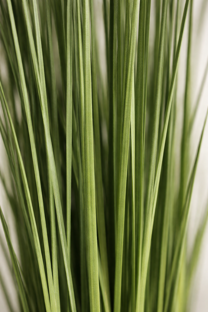 Preserved Ginerium - Vertical Object 03
