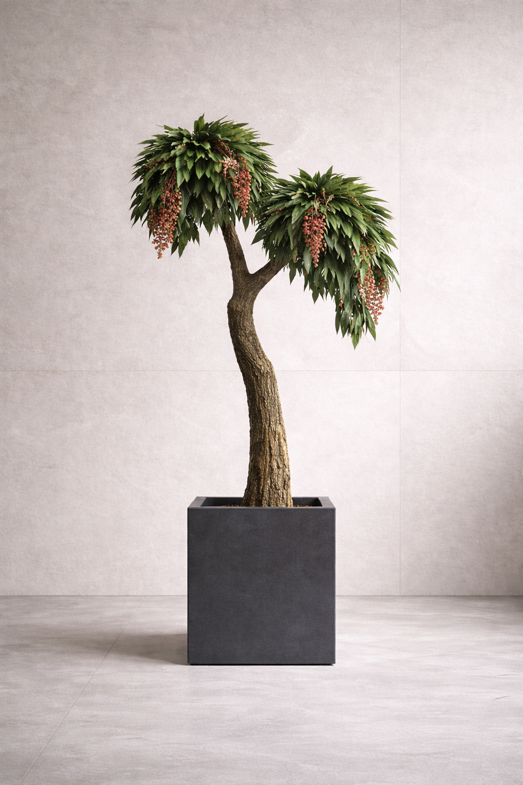 Preserved Coculus Spatial Statement – Jumbo