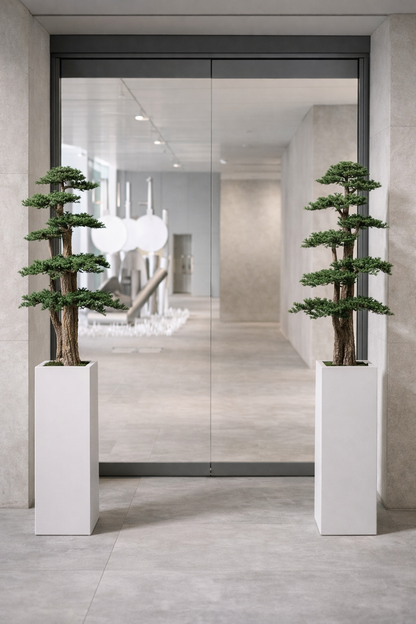 Preserved Juniperus Spatial Statement – Jumbo
