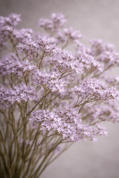 Preserved Limonium Surface Object 07 – Tall