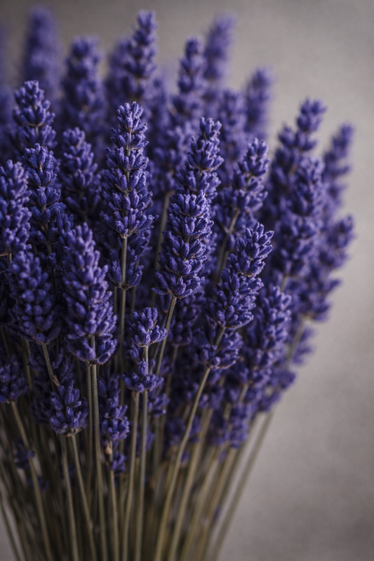 Preserved Lavender Surface Object 06 – Tall