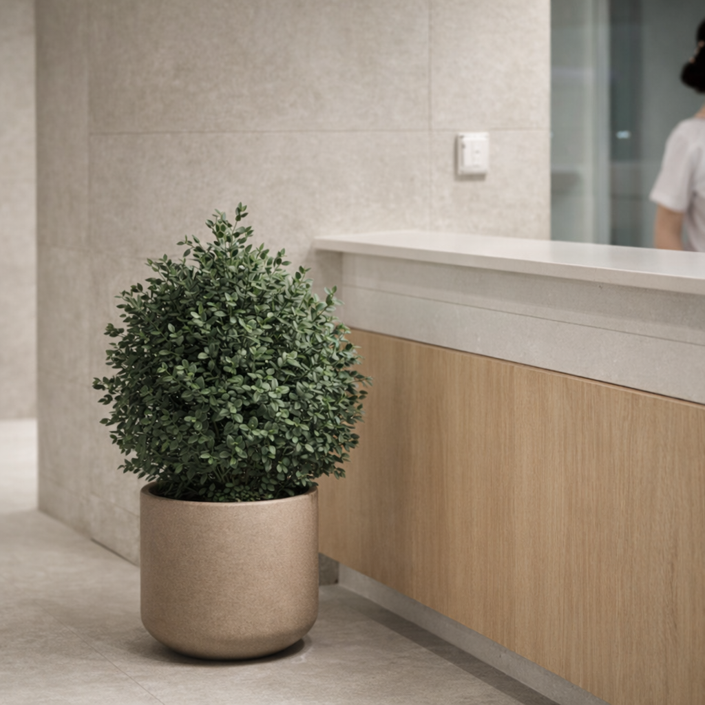 Preserved Parvifolia Vertical Object 01 – Compact