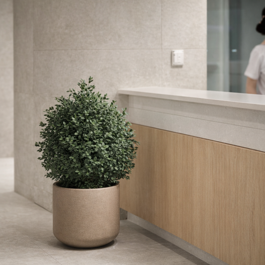 Preserved Parvifolia Vertical Object 01 – Compact