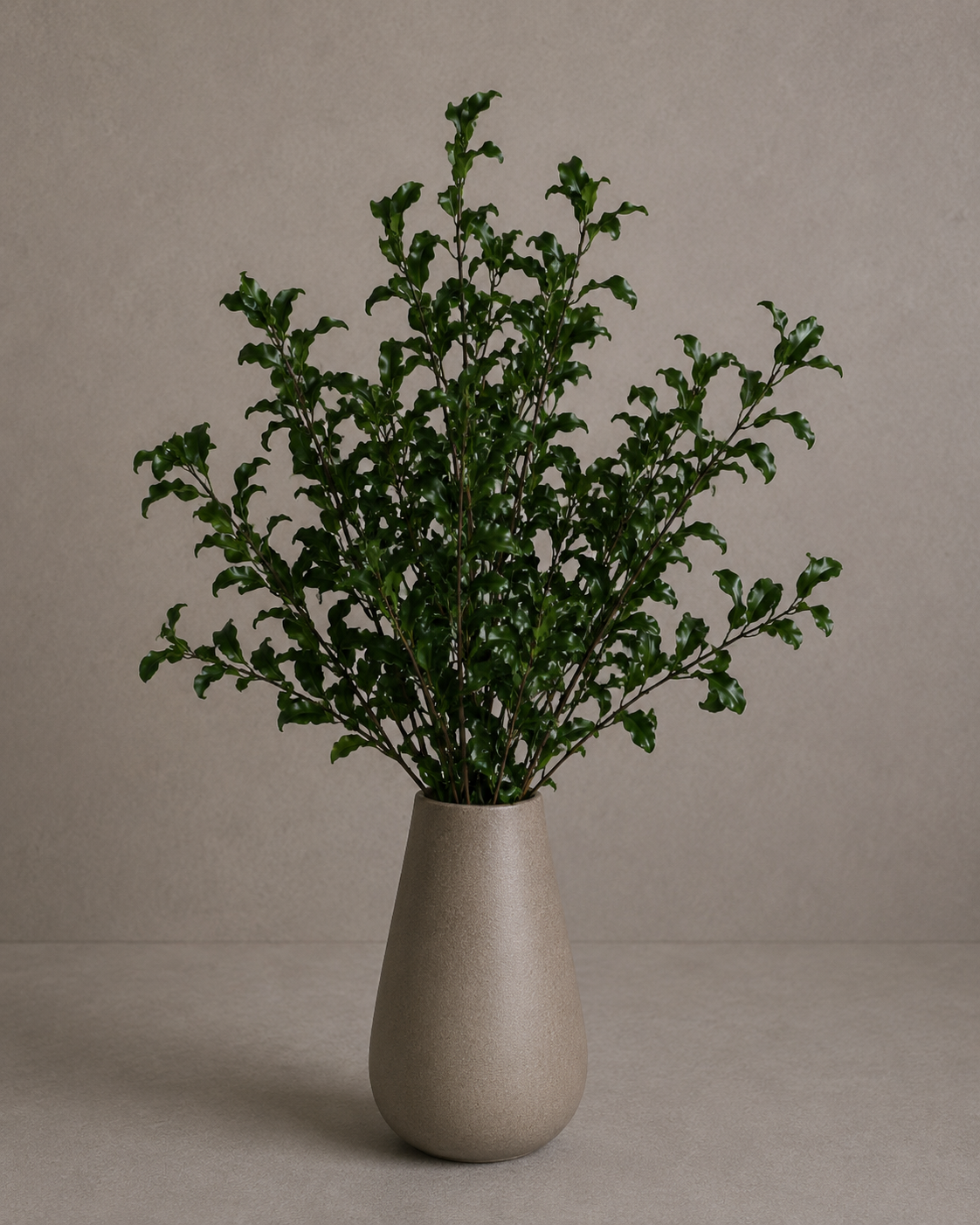 Preserved Pittosporum – Foliage Object 6