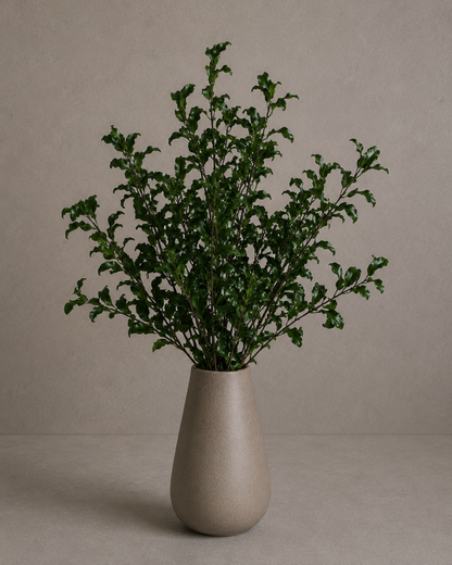 Preserved Pittosporum – Foliage Object 6