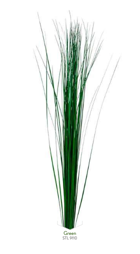 Preserved Steel Grass – Organic & Long-Lasting
