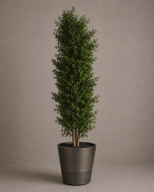 Preserved Tenuifolium Tree - Spatial Statement 05